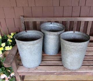 3 Tall Vintage Vermont Maple Sap Buckets Country Farmhouse Storage And Gardens
