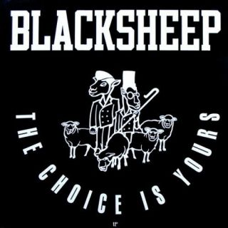 Black Sheep The Choice Is Yours 12 " Vinyl Mercury