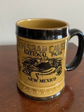 Carlsbad Caverns National Park Mexico Coffee Mug Cup Souvenir Vintage