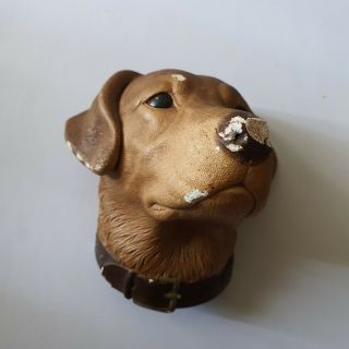 Bossons " Dog " Wall Plaque Congleton England Chipped Nose