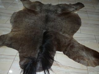 Vintage Pony / Horse Hide Rug,  Pony Skin Real,  Rug,  Mat,  Wall Decoration