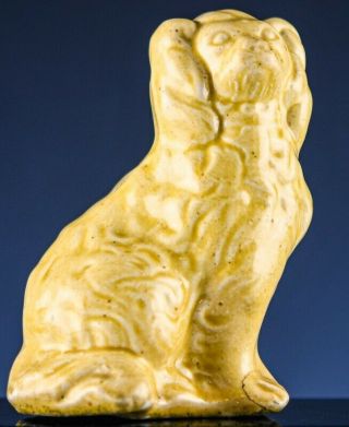 Unusual Victorian Yellow Ware Rockingham Staffordshire King Charles Spaniel Dog