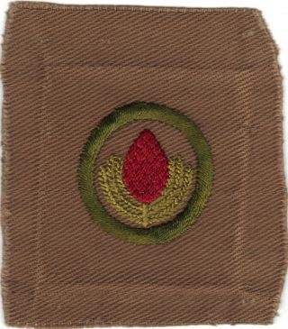 Boy Scout Forestry 4 Square Teens Merit Badge (type Aa)