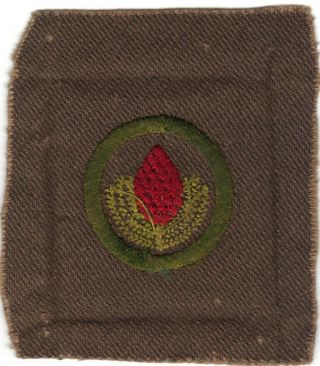 BOY SCOUT FORESTRY 4 SQUARE TEENS MERIT BADGE (TYPE AA) 2