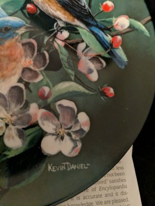' The Bluebird ' Limited Edition Plate by Kevin Daniel,  1986 Bird Lovers Gift 3