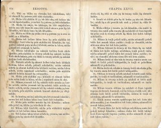 Vintage 1867 Choctaw Translation Bible Page Exodus American Bible Society,  Ny