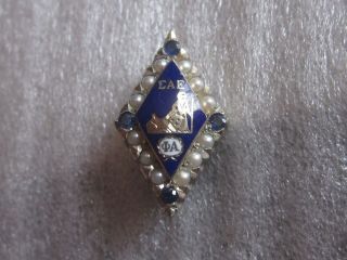 Estate 10k Solid White Gold Sigma Alpha Epsilon Fraternity Pin W/gems