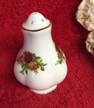 Vintage Porcelain Salt Shaker With Floral Design Neat Form Victorian Style Shape