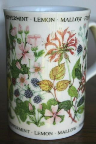 Royal Doulton Expressions Erika Parry Herbal Teas 10oz.  Tea Mug Cup Fine China