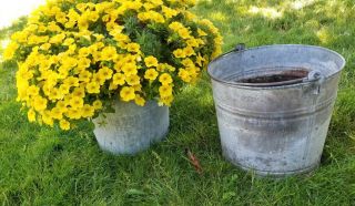 2 Vintage Galvanized Metal Buckets 12 Farm Flower Pails Decor 10”t (byd)