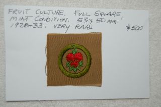 Fruit Culture Full Square Merit Badge Rare.