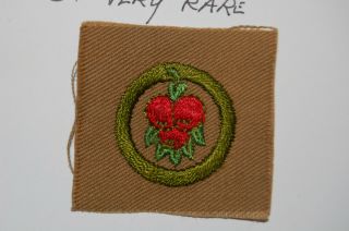 Fruit Culture Full Square Merit Badge rare. 2