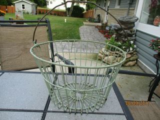 Vtg Coated Metal Wire Egg Gathering Basket Light Green Farmhouse Garden Harvest