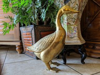 Life Size 13lbs Vintage Solid Brass Goose Duck Statue Sculpture Figurine Figure