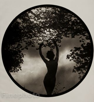 1938 Vintage Walter Bird Art Deco Female Nude Woman Tree England Photo Gravure
