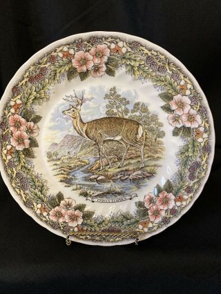 Churchill England Wildlife Dinner Plate - Cervus Elaphus Red Deer