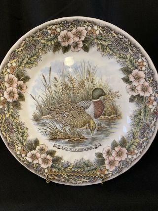 Churchill England Wildlife Dinner Plate - Anas Platyrhynchos Mallard Ducks