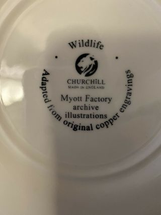 Churchill England Wildlife Dinner Plate - ANAS PLATYRHYNCHOS Mallard Ducks 3