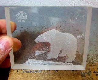 Shell Oil Company Etched Polar Bear Plastic Paperweight,  Cool Desk Decor Item