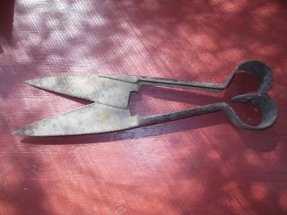 Antique sheep shears and sheep paint branding irons Farm Decor Ranch vintage 2