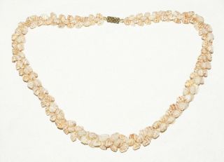 Vintage Hawaii Momi Single Strand Pikake Style Niihau Shell Necklace (brm) 36