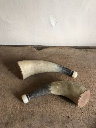 2 Old Large Powder Horns Frontier Hunting Cabin AAFA Patina 3