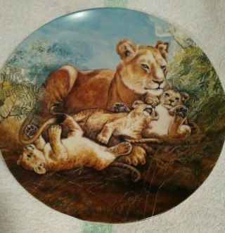 River Shore Ltd Collector Plate Mother And Baby Lions Lioness Cubs Vintage 1981