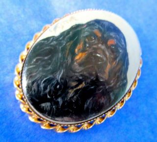 Black Cocker Spaniel Gorgeous Antique Art Deco Period Brooch/pendant