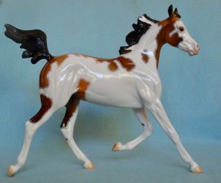 Peter Stone Glossy 2009 Sr Yearling " Creative Talent "