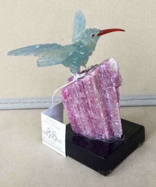 Blue Calcite Hummingbird On Tourmaline Crystal 4 1/4 " - Peter Muller
