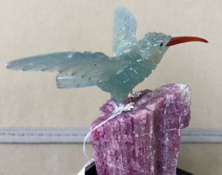 Blue Calcite Hummingbird on Tourmaline Crystal 4 1/4 