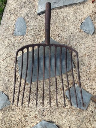 Antique Primitive 12 - Tine Manure Hay Rake Pitch Fork Farm Tool