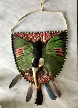 Vintage Toucan Taxidermy Toucan Breastplate,  Jivaroan Tribe