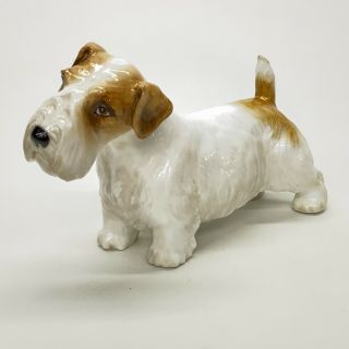 Paragon China Porcelain Sealyham Terrier Dog Figurine Made In England 9 X 5.  25 "