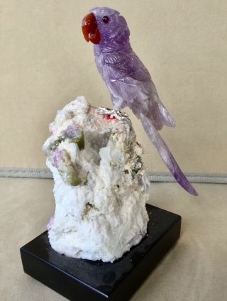 Amethyst Macaw On Tourmaline In Albite 6 3/4 " - Peter Muller