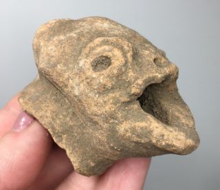 Pre - Columbian Terracotta Head Figurine Fish Pottery Creature Ritual Fragment