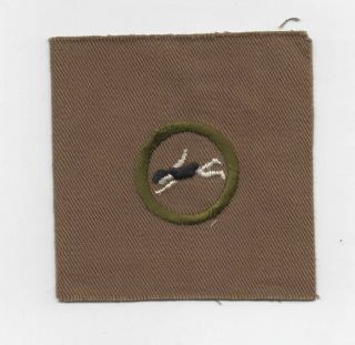 Swimming Merit Badge,  Type Aa (1911 - 19),  Uncut 3 1/8 " Full Square,