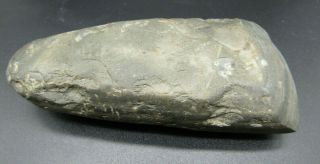 Early Scottish Stone Axe Head,  4000 Bc (6000 Years Old) Kirkcudbrightshire Find