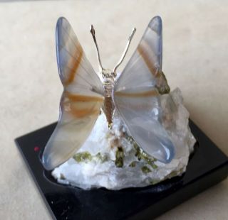 Agate Butterfly On Tourmaline In Quartz 3 " = Peter Muller