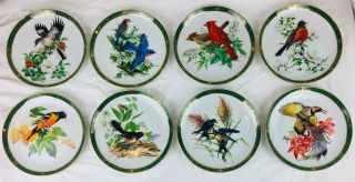 The Songbirds Of Roger Tory Peterson Collector Plate From The Danbury
