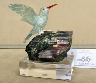 Blue Calcite Hummingbird On Tourmaline Crystal 4 " - Peter Muller