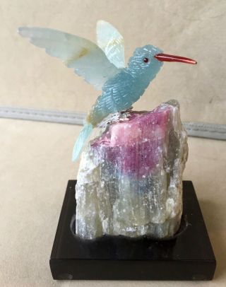 Blue Calcite Hummingbird On Tourmaline Crystal 5 " - Peter Muller