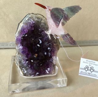 Rose Quartz/fluorite Hummingbird On Amethyst 5 " - Peter Muller