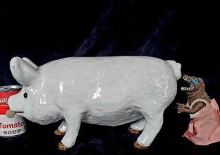 Large 13 " French Faience Pottery White Pig Glass Eyes Bavent Era Red Clay
