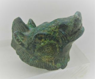 Detector Finds Ancient Celtic Bronze Boar Head Mount Ca 100bc - 100ad Rare