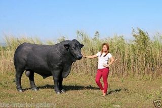 Black Bull Statue - Steer Statue - Angus Bull Life Size Statue Black 8 Ft Long