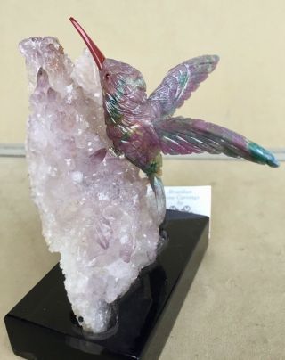 Ruby in Kyanite Hummingbird on Amethyst 