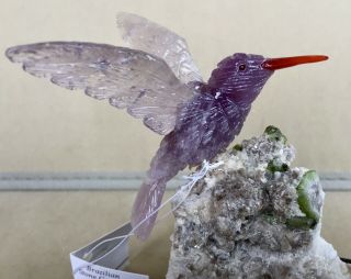 Amethyst Hummingbird on Tourmaline in Albite 4  - Peter Muller 2