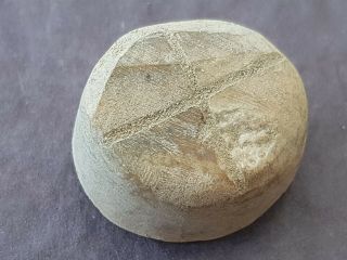 Very Rare Indeed Viking Stone Gaming Piece.  L160z