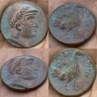 Unresearched Ancient Indo - Greek Bronze Coin With Head Of Euracrates